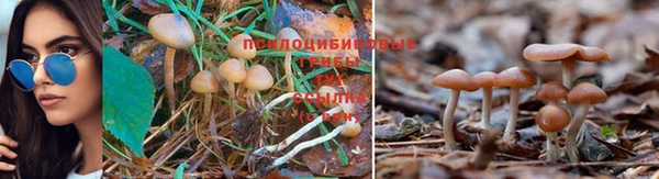 бутират Балабаново
